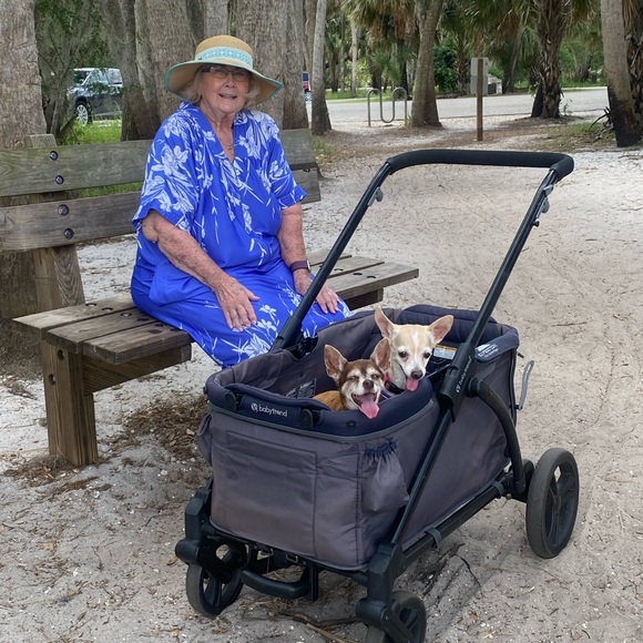 Meet your Posher, Lois - Picture 1 of 1